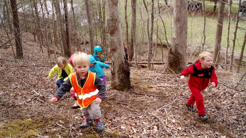 On the way up into the forest, eager for the next discoveries